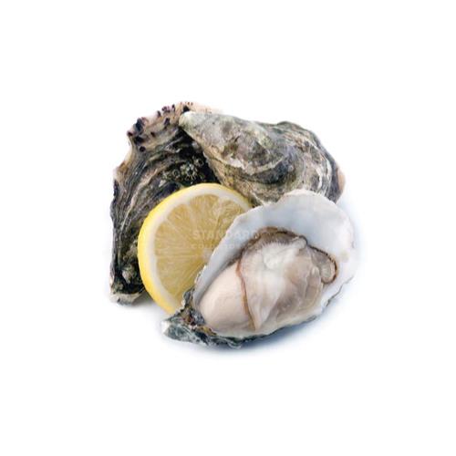 Irish Sashimi Oyster *Indent* 爱尔兰生蚝 *预定*