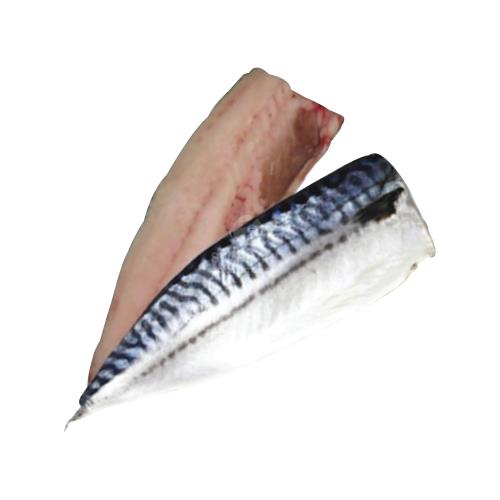 Saba Mackerel Fillet 鲭鱼片