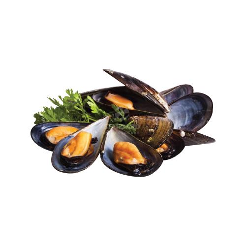 Chile Half Shell Blue Mussel 智利半壳青口 907g