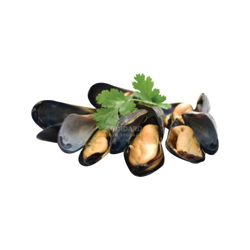 Chile Whole Black Mussel 智利青口 1kg