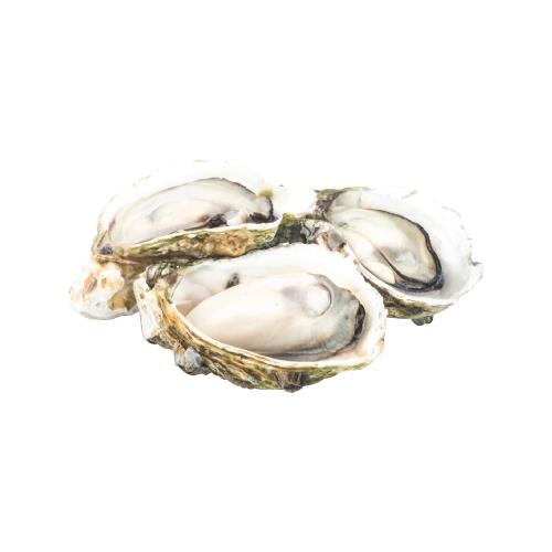 Half Shell Oyster 半壳生蚝 8-10cm, 10-12cm