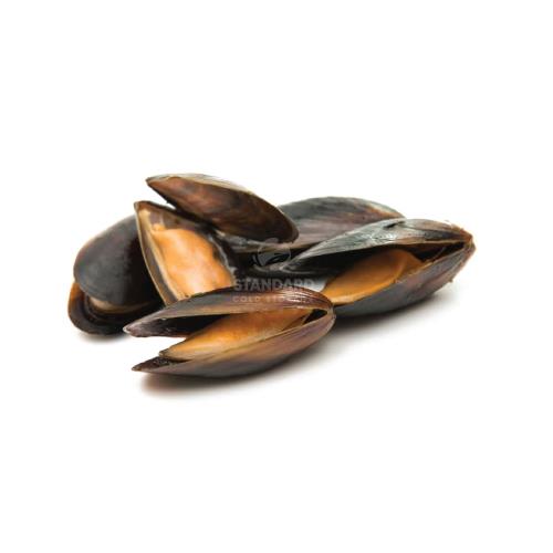 China Whole Black Mussel 中国青口 1kg