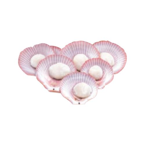 Half Shell Scallop Pink 粉色半壳带子 500g